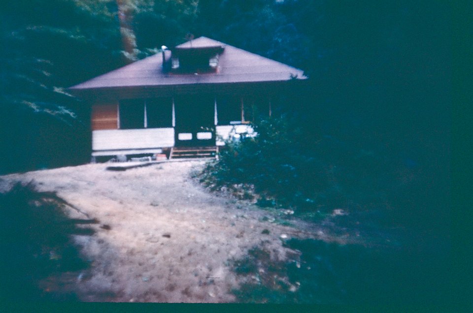 The Pines 1959